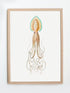 raw wood framed vintage squid print wall art